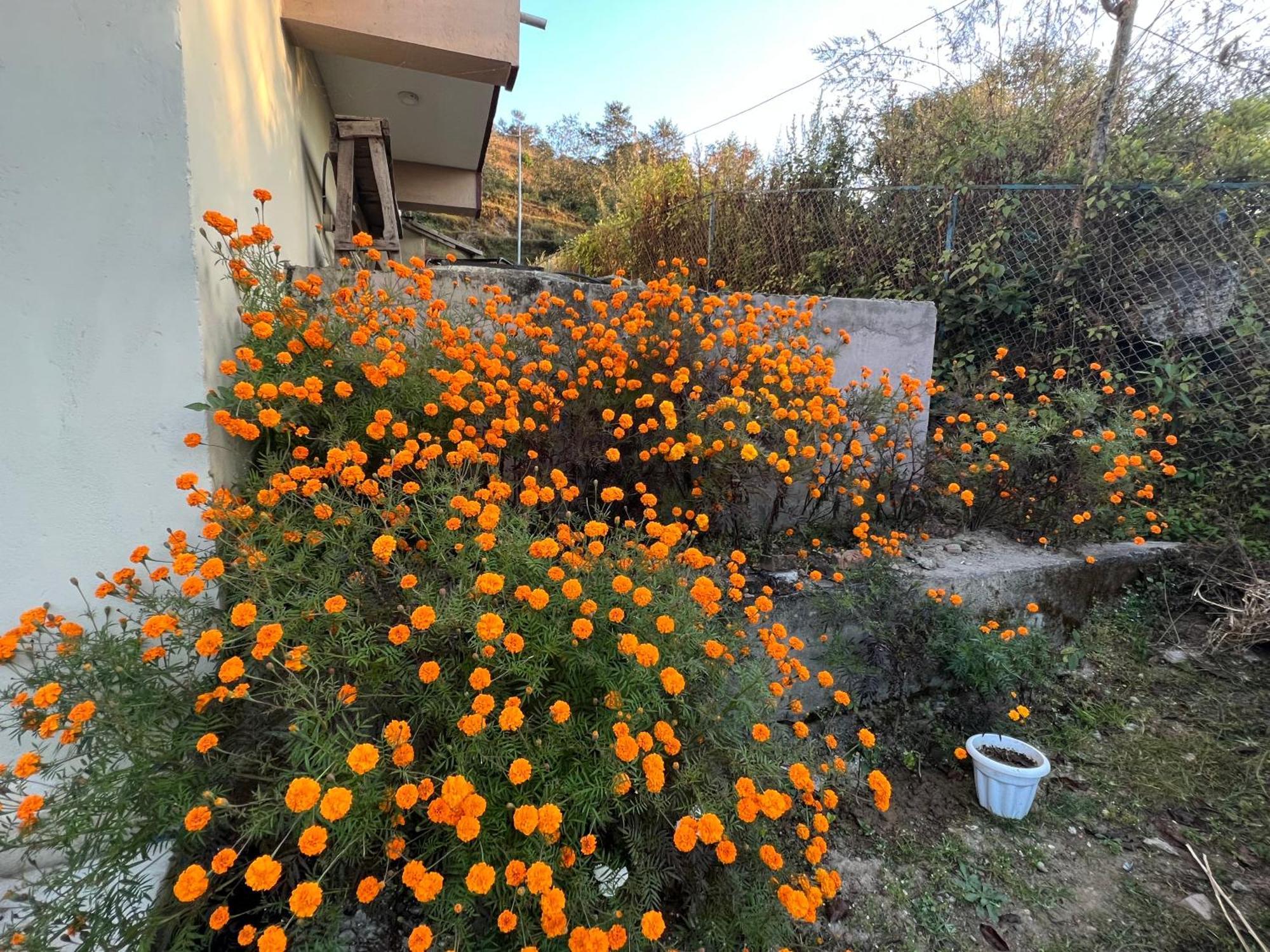 Hotel Village View Nagarkot Dış mekan fotoğraf